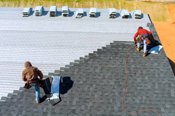 Best Roof Repair Specialists  in Rockwood, TN