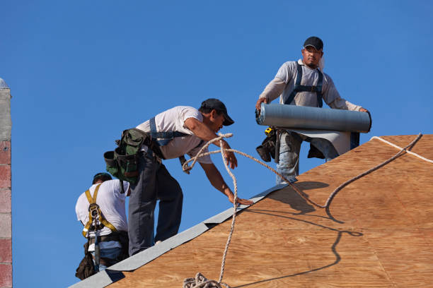 Best Residential Roof Replacement  in Rockwood, TN