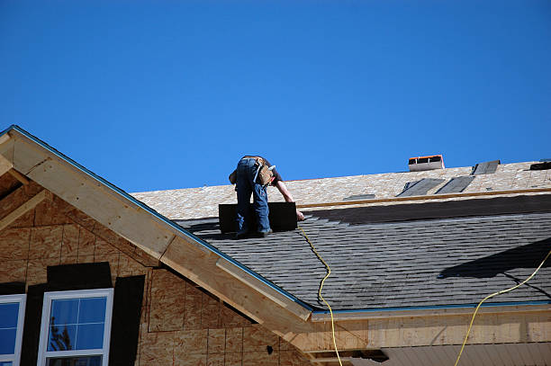 Best Roof Repair Services  in Rockwood, TN